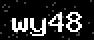 verify code