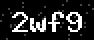 verify code